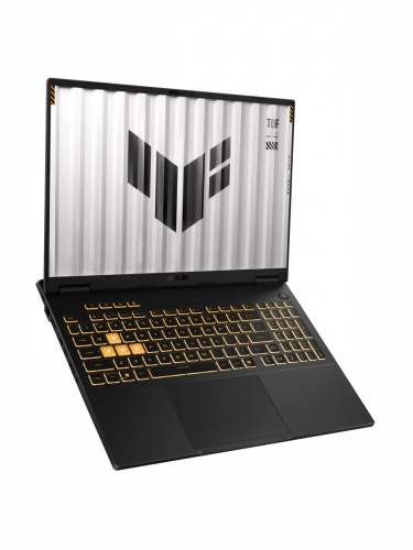 Ноутбук ASUS TUF Gaming F16 FX608JMR-RV202, 16" (1920x1200) IPS 165 Гц/Intel Core i7-14650HX/16 ГБ DDR5/1024 ГБ SSD/NVIDIA GeForce RTX 5060 для ноутбуков (8 Гб)/Без системы, Серый (90NR0NB1-M00B20) фото 3